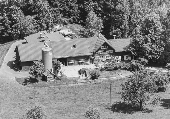 Zellersmüli Damals