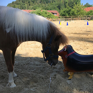 Zellersmüli Kinderreitwelt Ponys
