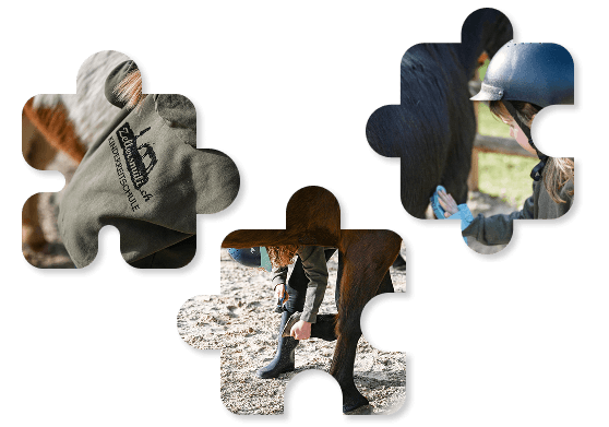 Zellersmüli Reiten lernen wie ein Puzzle