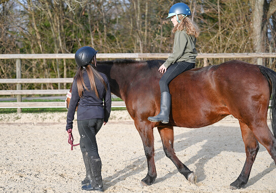 Zellersmüli Reiten und Pferde verstehen